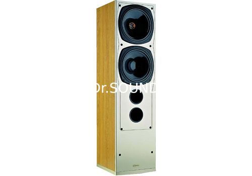 Ремонт Tannoy Saturn S10