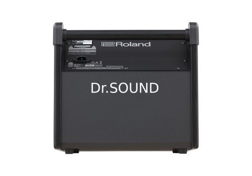 Ремонт ROLAND PM-100