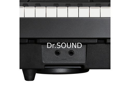 Ремонт цифрового пианино Emily Piano D-22